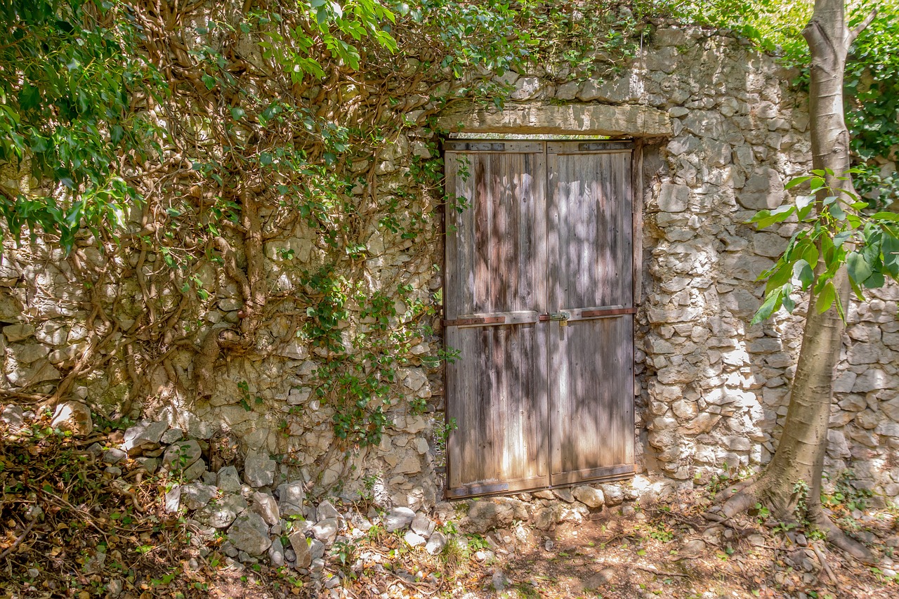 door, gate, wood-947137.jpg